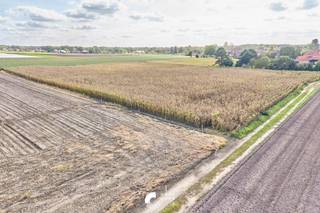 <p>Mooi stuk landbouwgrond gelegen achter de Eindhovensebaan. <br /><br />Dit stuk landbouwgrond van 1,6 ha groot is gelegen net achter de Eindhovensebaan, Het stuk is zeer makkelijk bereikbaar via een servitudeweg tussen Eindhovensebaan nummer 36 en 38. Zoals je kunt zien op de kadastrale intekening is het stuk mooi rechthoekig en momenteel geoogst met mais.</p>