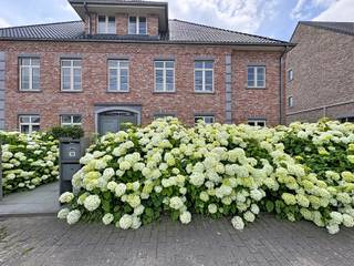 <p><span>Neem vandaag nog contact op met Sara De Maeyer voor een bezoek via: </span>https://mijnhuurprofiel.be/property/786dbe84-a9bc-49c7-a48f-c16ded4451f5</p><p><br /></p><p><strong>Ruim appartement in residentiële buurt van Grimbergen (Humbeek)</strong></p><p>Dit lichtrijke appartement biedt een praktische indeling en aangenaam wooncomfort in een rustige omgeving. De ruime woonkamer van 40 m² met toegang tot het terras, vier slaapkamers, twee badkamers, een uitgeruste keuken en handige bergingen maken het ideaal voor gezinnen of wie extra ruimte zoekt. Dankzij het gunstige EPC-label A geniet u bovendien van een energiezuinige woonst.</p><p><br /></p><p><strong>Belangrijkste ruimtes:</strong></p><ul><li>Ruime woonkamer en toegang tot het terras</li><li>Uitgeruste keuken</li><li>Vier slaapkamers</li><li>Twee badkamers, waarvan één met ligbad, douche en dubbele wastafel</li><li>Terras voor een aangenaam buitenmoment</li><li>Berging met aansluitingen voor wasmachine en droogkast</li><li>Extra berging en kelder voor bijkomende opslagruimte</li></ul><p><strong>Troeven:</strong></p><ul><li>Vier volwaardige slaapkamers en twee badkamers</li><li>Energiezuinig appartement met EPC-label A</li><li>Residentiële ligging nabij scholen en openbaar vervoer</li></ul><p>Maandelijkse provisie: € 130 (voor <span>onderhoud gemene delen, syndicus, onderhoud lift, minuterie en syndicus)</span></p><p><br /></p><p>JOUW DROOMAPPARTEMENT. ZO GEVOND</p>