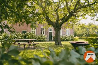 AXEL (NL) - Karaktervolle hoeve op een goede locatie met paardenfaciliteiten<br /><br />Vlak bij de Belgische grens, nabij Stekene, bevindt zich in Axel (Nederland) deze uitzonderlijk rustig gelegen hoeve. Verscholen in een groene omgeving en bereikbaar via een indrukwekkende oprijlaan. Hier geniet u van optimale privacy en een prachtig landelijk decor, terwijl winkels en andere voorzieningen zich toch op korte afstand bevinden.<br /><br />Bij het betreden van de woning wordt u verwelkomd in een statige inkomhal met authentieke vloeren en karaktervolle deuren. Rechts bevindt zich de prachtig ingerichte leefkeuken, die dankzij haar warme uitstraling en praktische indeling het hart van de woning vormt. Aansluitend beschikt de keuken over een handige berging en een kelder.<br /><br />Verder omvat het gelijkvloers een sfeervolle eetkamer die rechtstreeks in verbinding staat met de gezellige leefruimte. Grote raampartijen en mooie zichtlijnen zorgen ervoor dat u vanuit vrijwel iedere ruimte geniet van het omringende groen. Een afzonderlijke bureauruimte maakt het geheel compleet en biedt een ideale plek om in alle rust thuis te werken.<br /><br />Op de eerste verdieping bevindt zich de ruime masterbedroom met eigen dressing en badkamer. Daarnaast zijn er twee kinderkamers, een tweede badkamer, een vierde kamer en een praktische berging. Via een vaste trap bereikt u de royale zolderruimte, die nog tal van mogelijkheden biedt om bijkomend in te richten.<br /><br />Ook buiten weet deze eigendom te overtuigen. De prachtige, ruime tuin sluit naadloos aan bij het landelijke karakter van de hoeve. Het royale stalgebouw is uitgerust met zes paardenstallen, een poetsplaats, een voorraadkamer en voldoende opslagruimte voor hooi, stro en materiaal.<br /><br />Op het terrein bevinden zich bovendien enkele bijkomende gebouwen die, mits renovatie of heropbouw en afhankelijk van de nodige vergunningen, opnieuw voor diverse doeleinden kunnen worden gebruikt.<br /><br />De eigendom beschikt over meerdere volledig omheinde weidepercelen en biedt mooie wandelmogelijkheden in de directe omgeving. Daarnaast is er op wandelafstand de mogelijkheid om gebruik te maken van een rijpiste.<br /><br />Een unieke opportuniteit voor wie droomt van rust, ruimte en comfort, gecombineerd met authentiek karakter en uitstekende mogelijkheden om paarden aan huis te houden. Voor meer informatie of een bezoek, kan u ons steeds contacteren: 053/60.65.66.