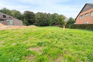 <p>OEDGELEGEN GROND van 1585m2 te OUDENAARDE! ZICHT OP GROEN! ZUID-OOSTgericht! Geen bouwverplichting! Ideaal voor VRIJ BEROEP in combinatie met wonen! Straatbreedte: 20m, Diepte: 75m, bebouwbare oppervlakte: 15m x 12,36m dus 185,4m2. Bezoek na afspraak met IMMO BEGUIN: 0486 606 600.</p>