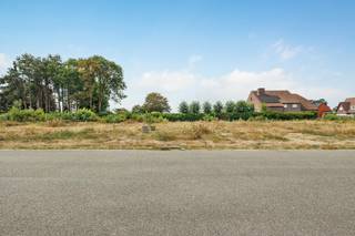 <p><span>Aan de hoek van de Meistraat en Strunkelstraat in het groene Witgoor, Dessel, ligt dit ruime perceel van 541 m² voor open bebouwing. De ligging biedt een aangename combinatie van rust en bereikbaarheid, met de nodige voorzieningen en verbindingswegen in de omgeving.</span></p>
<p><span>Het perceel heeft een straatbreedte van 20 meter en een westelijke oriëntatie. Voor de toekomstige woning is een bouwzone voorzien van circa 14 meter breed en 9 meter diep. De open bebouwing biedt daarbij de mogelijkheid om rondom de woning ruimte en groen te behouden.</span></p>
<p><span>De bouwgrond maakt deel uit van een goedgekeurde verkaveling, waardoor de nutsvoorzieningen reeds zijn voorzien. Hierdoor beschikt u over een goede basis om uw eigen woning te realiseren op een ruim en praktisch perceel.</span></p>
<p><span>Troeven:</span><br /><span>• 541 m² bouwgrond voor open bebouwing</span><br /><span>• Ruime straatbreedte van 20 meter</span><br /><span>• Westelijke oriëntatie</span><br /><span>• Bouwmogelijkheden van 14 x 9 meter</span><br /><span>• Goedgekeurde verkaveling met nutsvoorzieningen</span></p>