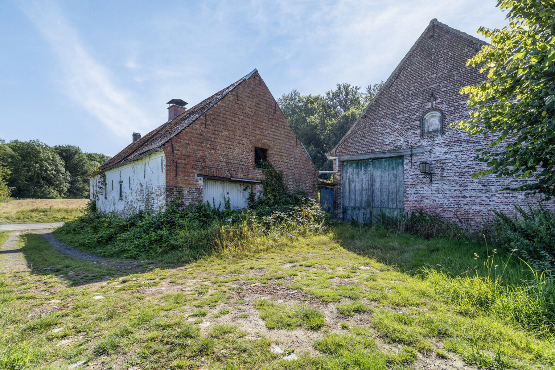 Te renoveren boshuis in Zandbergen - foto 4