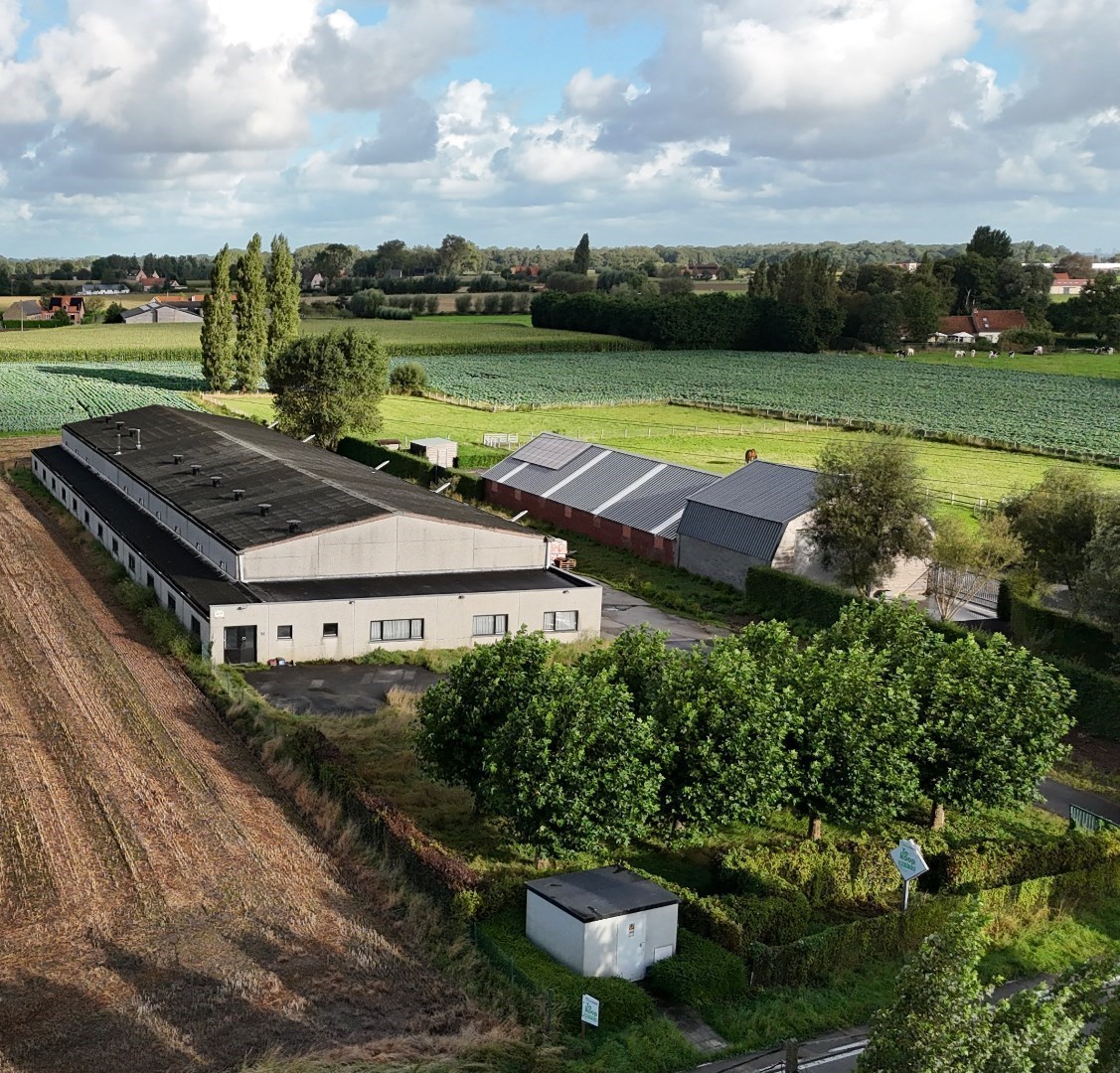 Commercial for rent in Diksmuide - photo 5