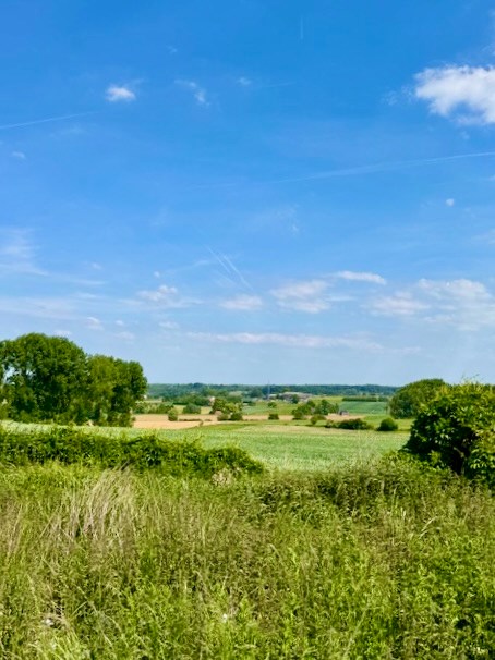 Bouwgrond met uitgestrekt uitzicht op de velden in Maarkedal - foto 2