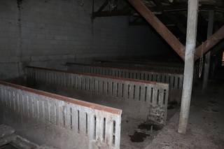 Voormalige pluimveestal (die was omgebouwd naar varkensstal) te koop te Tiegem.De stal is gelegen op een perceel van 3.422 m².De stal heeft een...