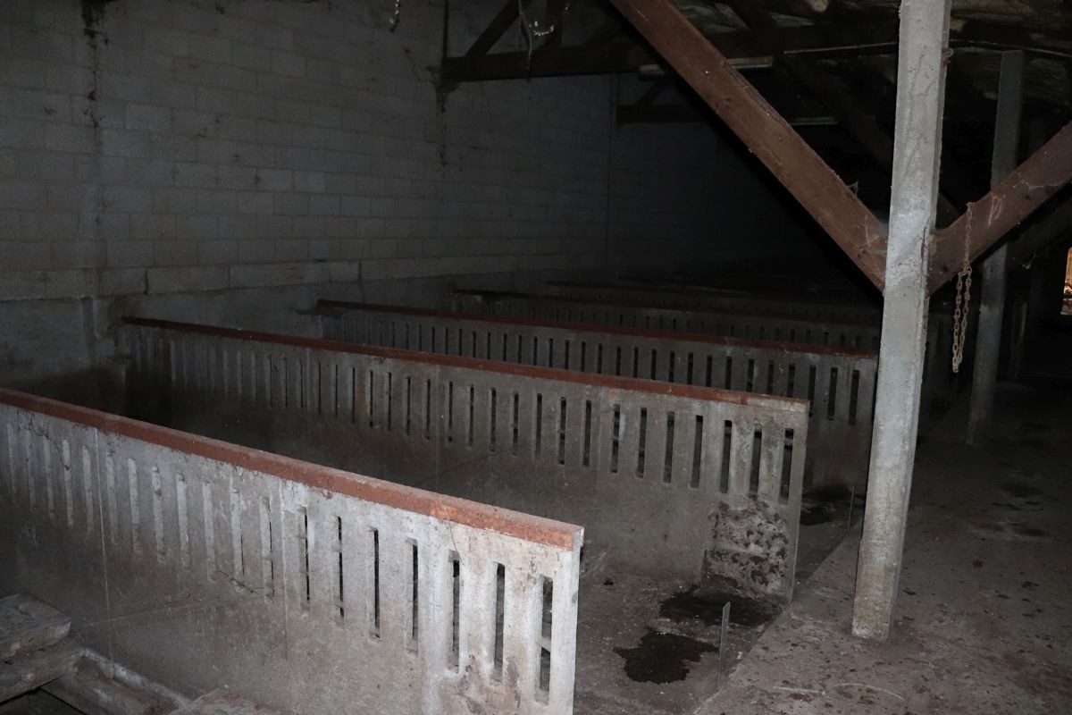 Voormalige stal te koop te Tiegem - foto 3