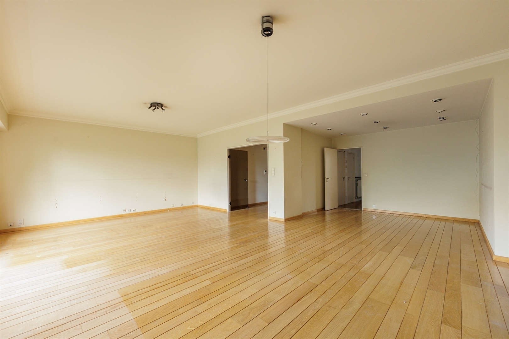 Albertpark ∣ Te renoveren appartement van ca 180m² + 2P - foto 4