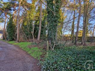 Nieuw te bouwen woning voor open bebouwing gelegen in Tremelo!De bouwgrond (lot 1) is 13 are 33 ca groot en heeft een bouwbreedte van 15m. Deze is...