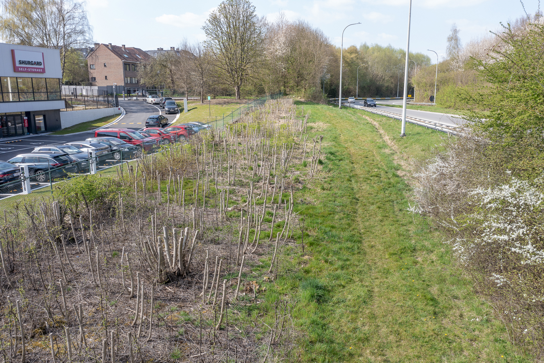 Ruim perceel grond van 2ha23a31ca. - foto 4