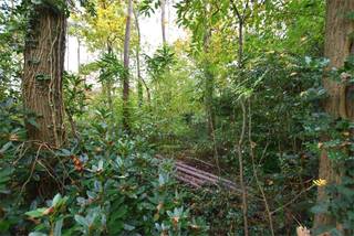 Grote recreatiegrond op ca 3925 m².De grond is gunstig gelegen in een rustige omgeving en toegankelijk via de straat.Het perceel is momenteel bebost...