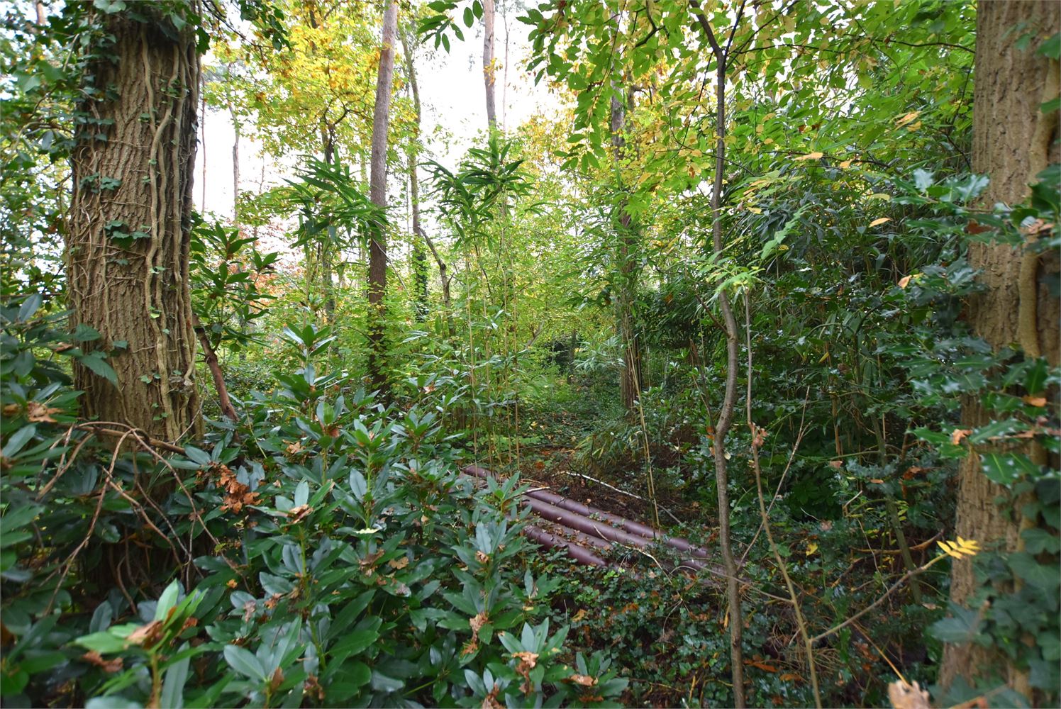 Ruime recreatiegrond op rustige ligging - foto 2