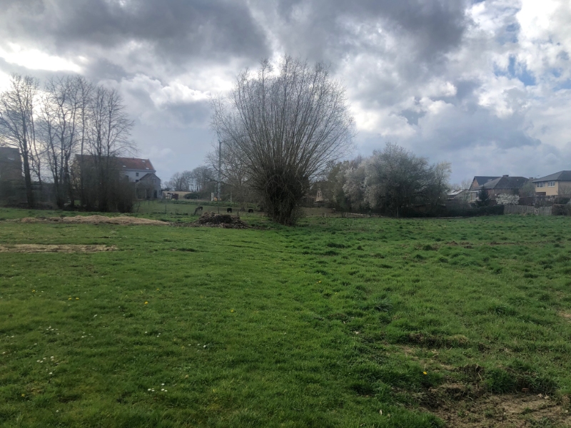 Projet à vendre à Leefdaal - photo 4