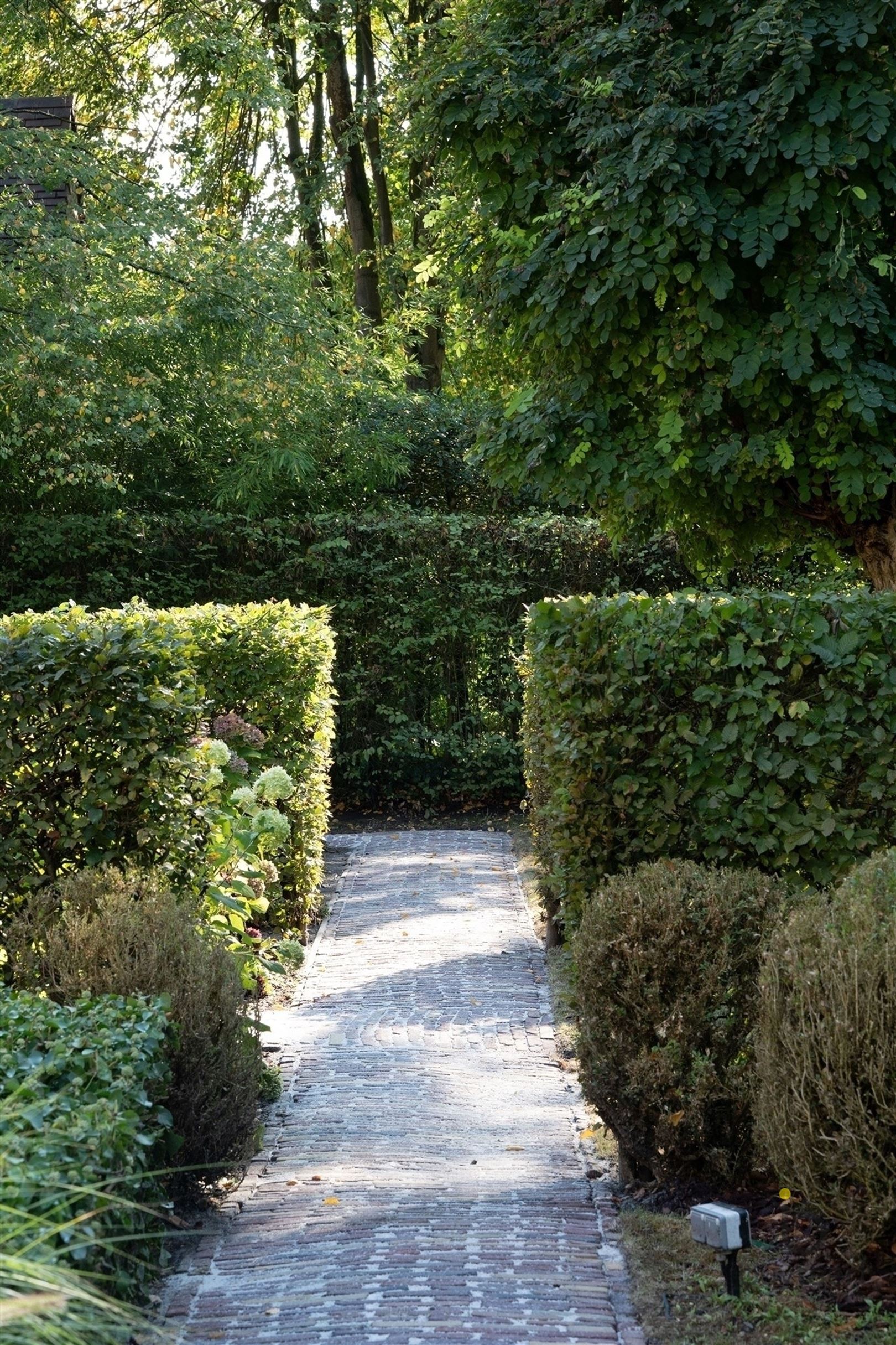 EXCLUSIEF: stijlvolle villa met een tijdloze inrichting op een toplocatie te Schilde! - foto 3