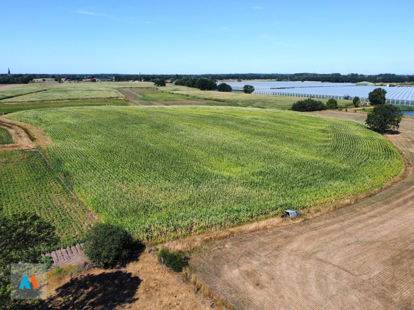 Perceel landbouwgrond - foto 4