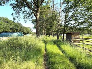 Twee omheinde<span> percelen landbouwgrond met een totale oppervlakte van 21.430m².</span><br /><br /><span>De percelen zijn volledig omheind en voorzien van een schuilstal, ideaal voor het houden van paarden. Water en elektriciteit zijn aanwezig. Daarnaast werden er leidingen aangelegd voor het vullen van drinkreservoirs voor dieren. De aanwezige fift wheel trailer is inbegrepen in de verkoopprijs.</span><br /><br /><span>Extra info: oppervlakte 21.430m² I infoplicht: Gvg, Ag-Ng, Gvv, Vkr, Gmo I </span><span>watertoets: P-score: B I G-score: A (perceelnummer 200 is de G-score onbekend).</span>