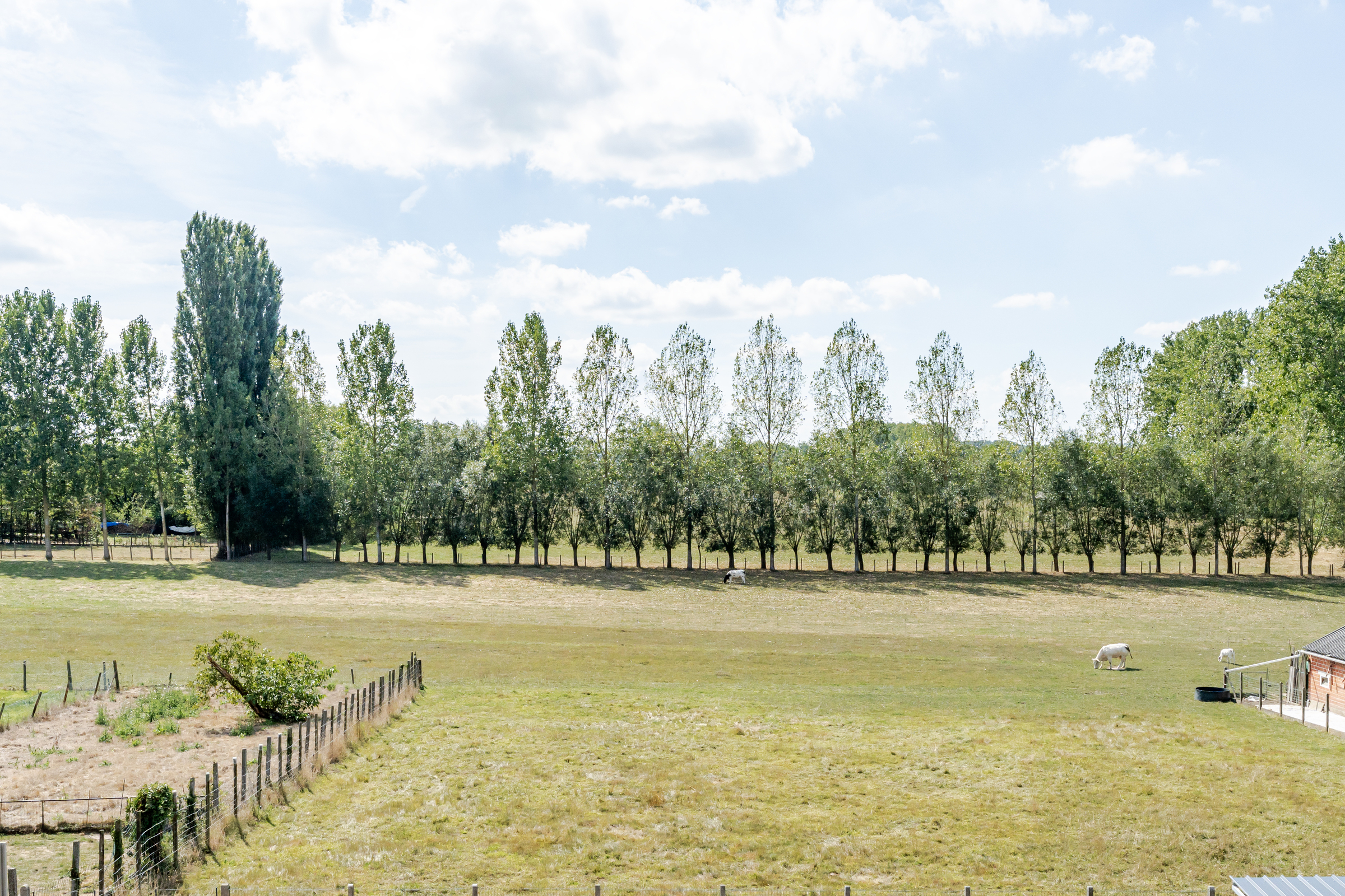 Ruim gelijkvloers villa-appartement met tuin - foto 5