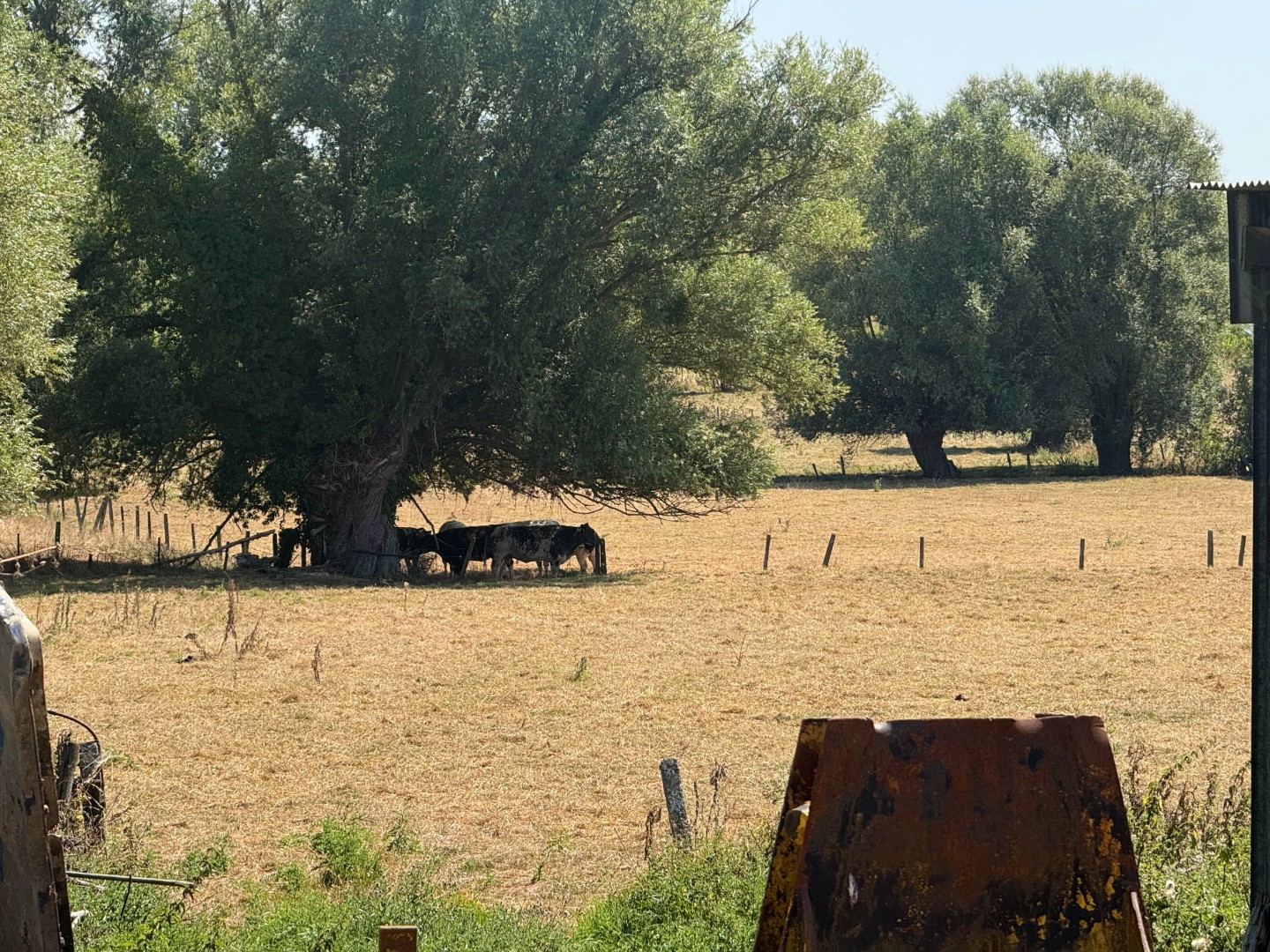 Te koop, totaal te renoveren / te slopen hoeve met uitweg achteraan op 1,5 hectare te Bever - photo 5