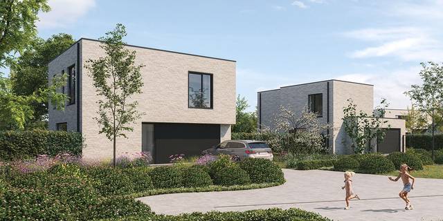 Project te koop in Berlare