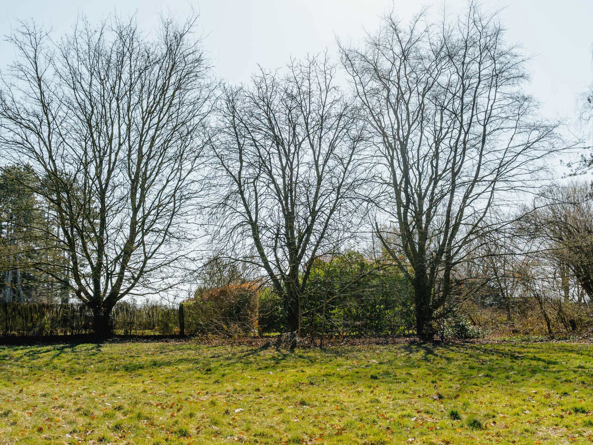 Land for sale in Lasne-Chapelle-Saint-Lambert - photo 5