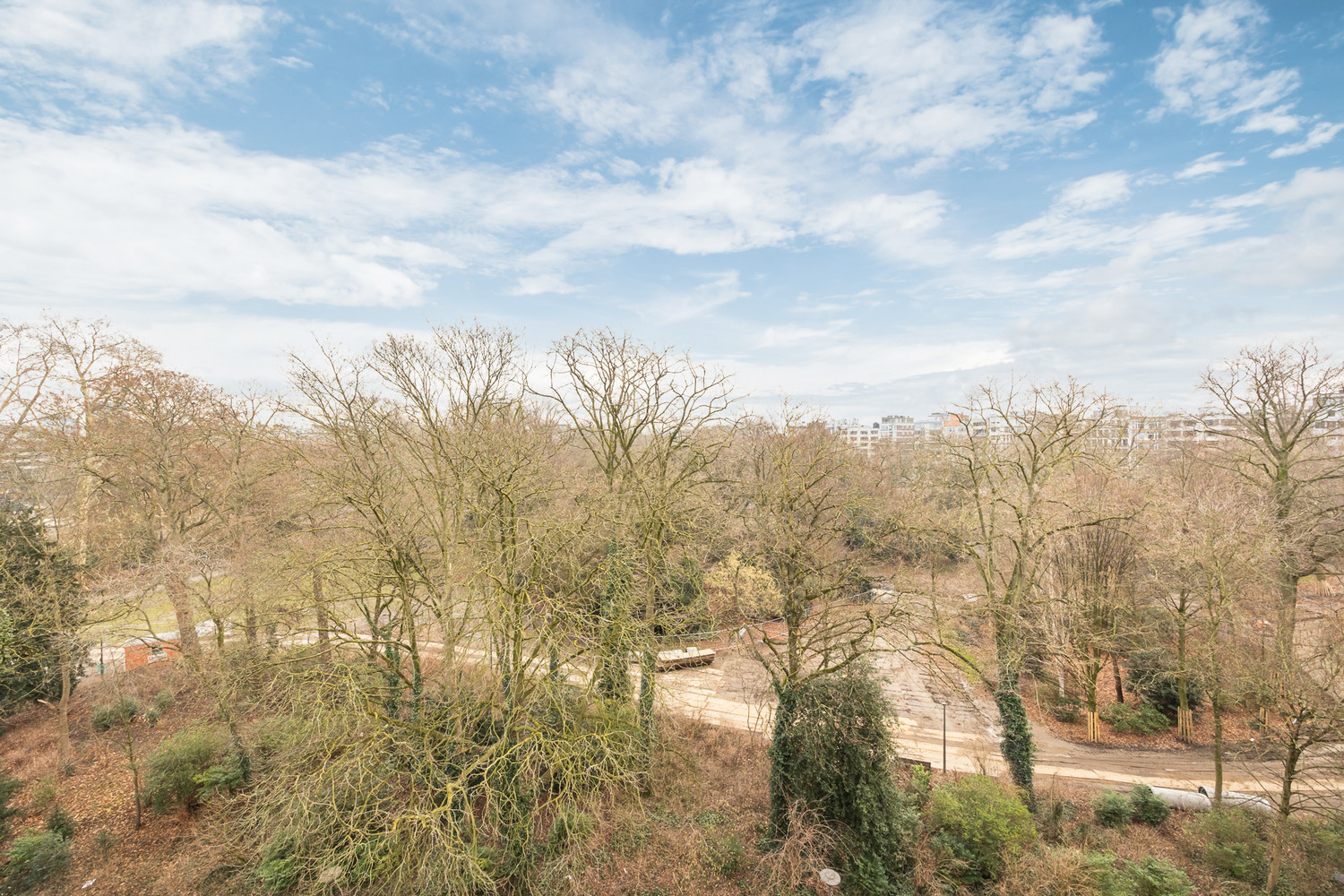 Luxueuze en energiezuinige (EPC B) totaalrenovatie met zalig parkzicht aan de Rubenslei in hartje Antwerpen + optionele parking - foto 3