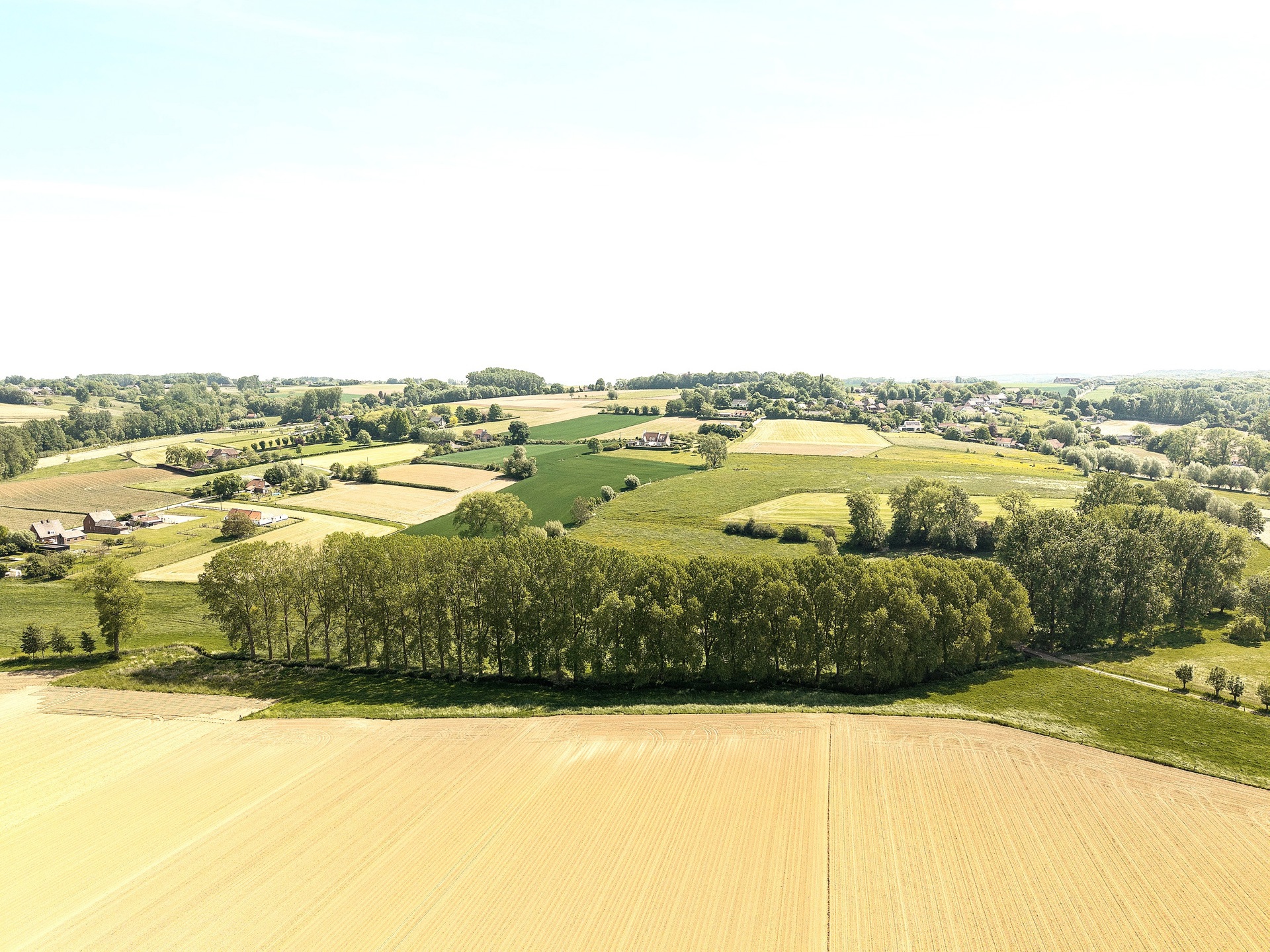 Commercial à vendre à Maarkedal - photo 4