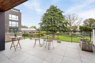 Appartement à louer à Saint-Trond