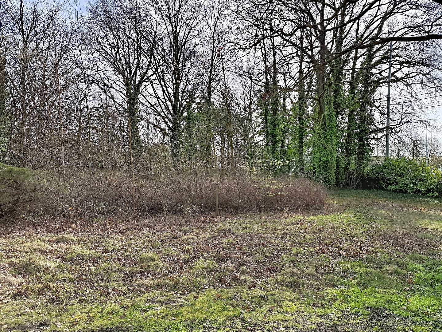 Keuze uit 2 ruime bouwgronden met groenzone - foto 4