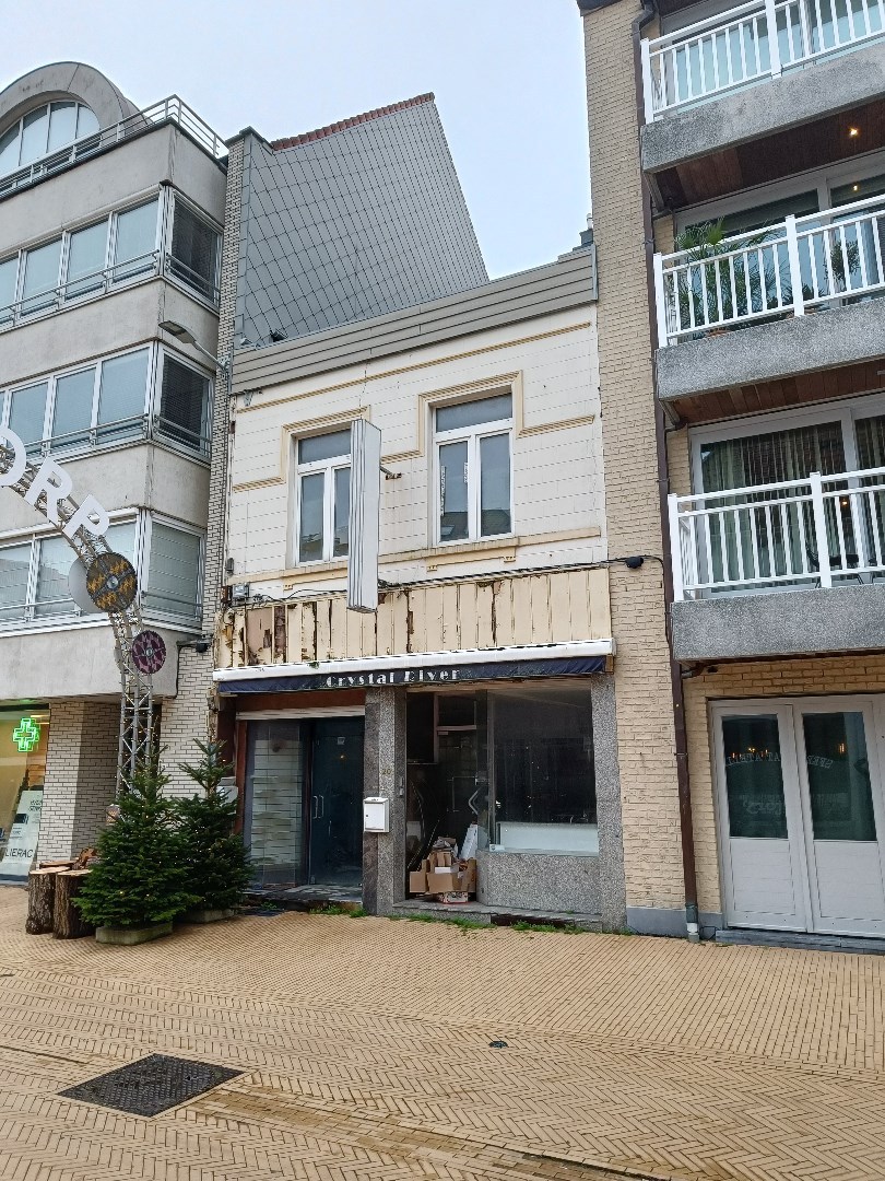 Projectgrond op 300 meter van de zeedijk - foto 1