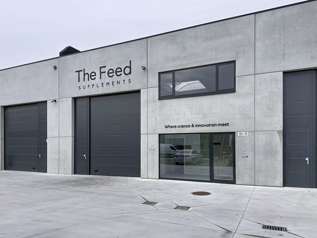 KMO-unit (ca. 220 m²) met optioneel kantoor te huur in Gent - foto 2