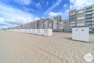 Dit exclusief en luxueus gerenoveerde gelijkvloers appartement op de zeedijk van Sint-Idesbald biedt een unieke kans om wonen aan zee te...