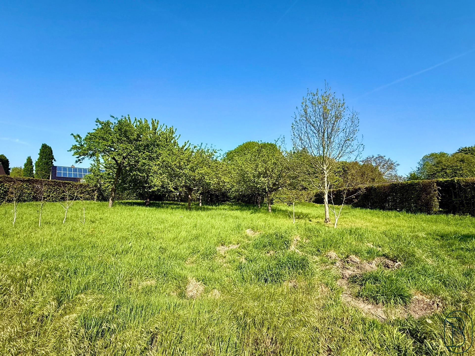 TOPGELEGEN nieuwbouw HOB! - foto 4