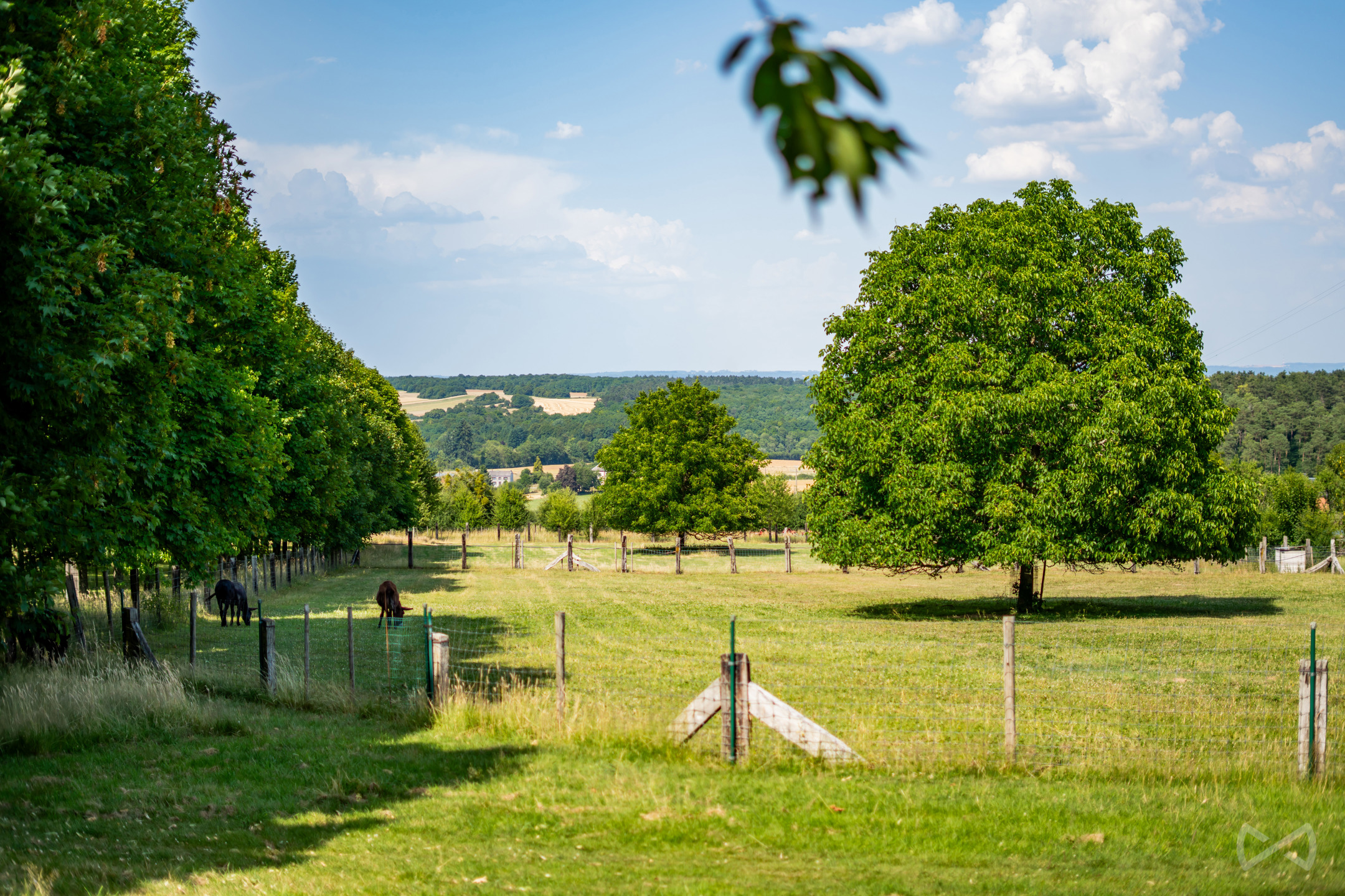 Huis te koop in Beauraing met 9 slaapkamers - foto 5