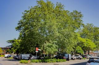 Very bright and well maintained apartment with elevator in a small apartment block is for sale at Karel Mestdaghplein 11 in Wilrijk, not far from...