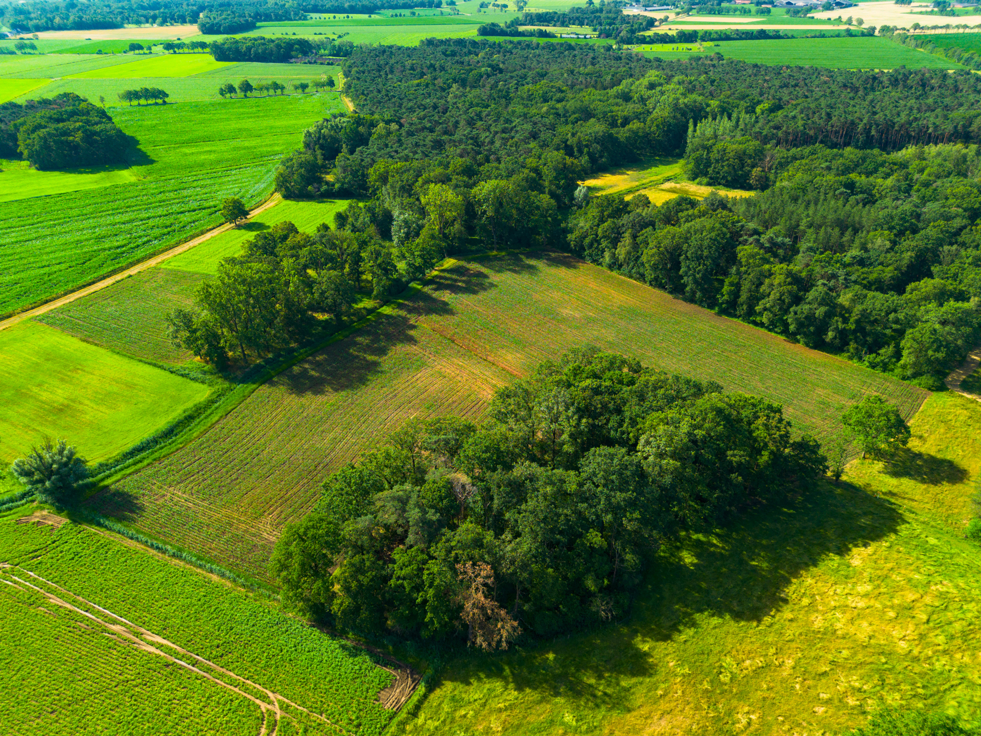 Terrain à vendre à Oud-Turnhout - photo 5