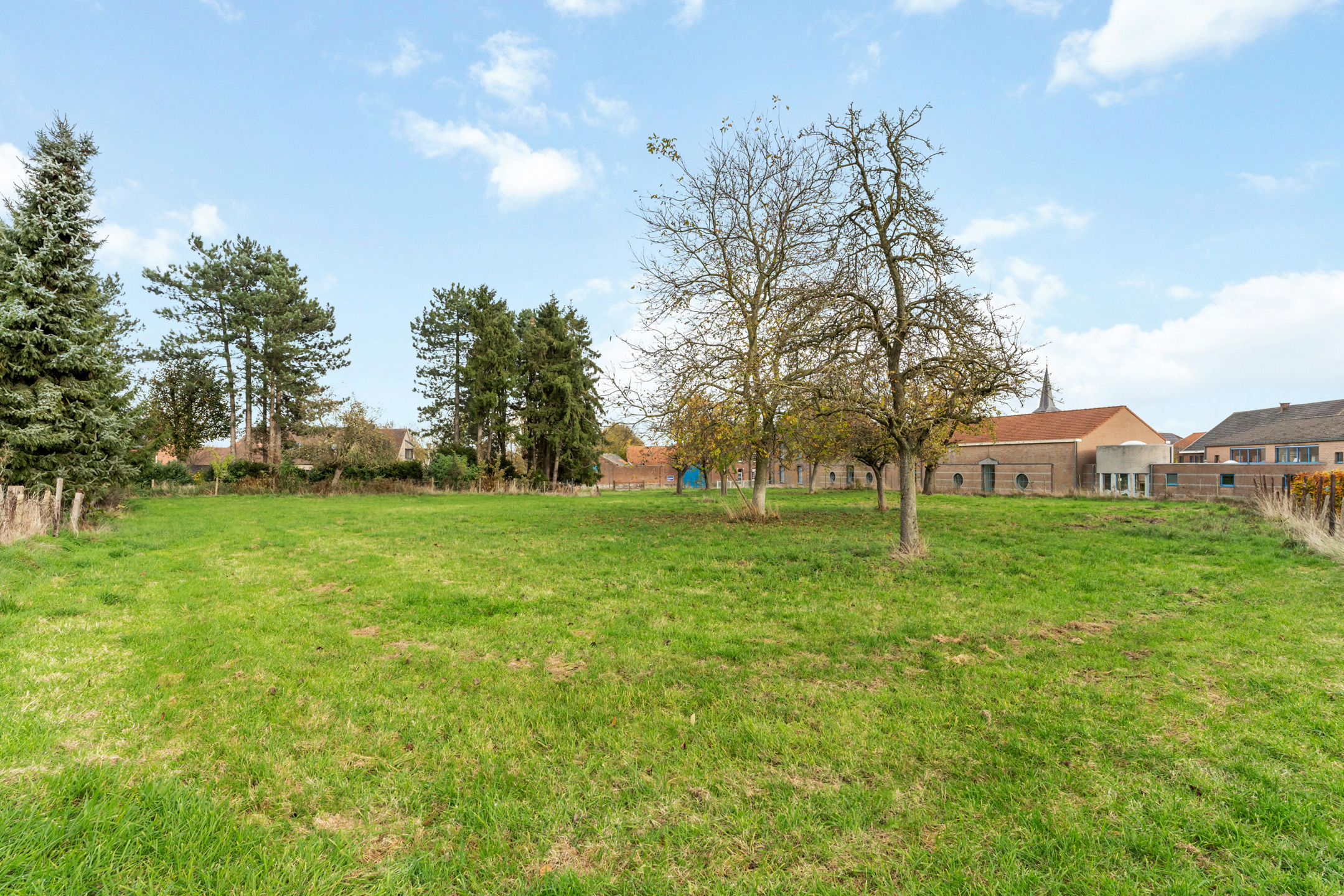 Land for sale in Riemst - photo 5