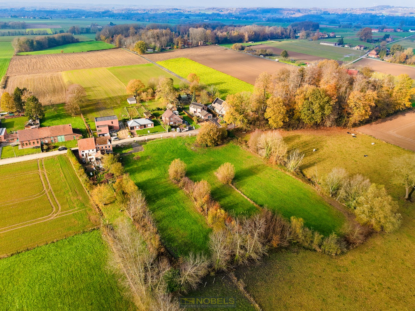 Te koop, rustig gelegen bouwgronden voor HOB te Bever - foto 1