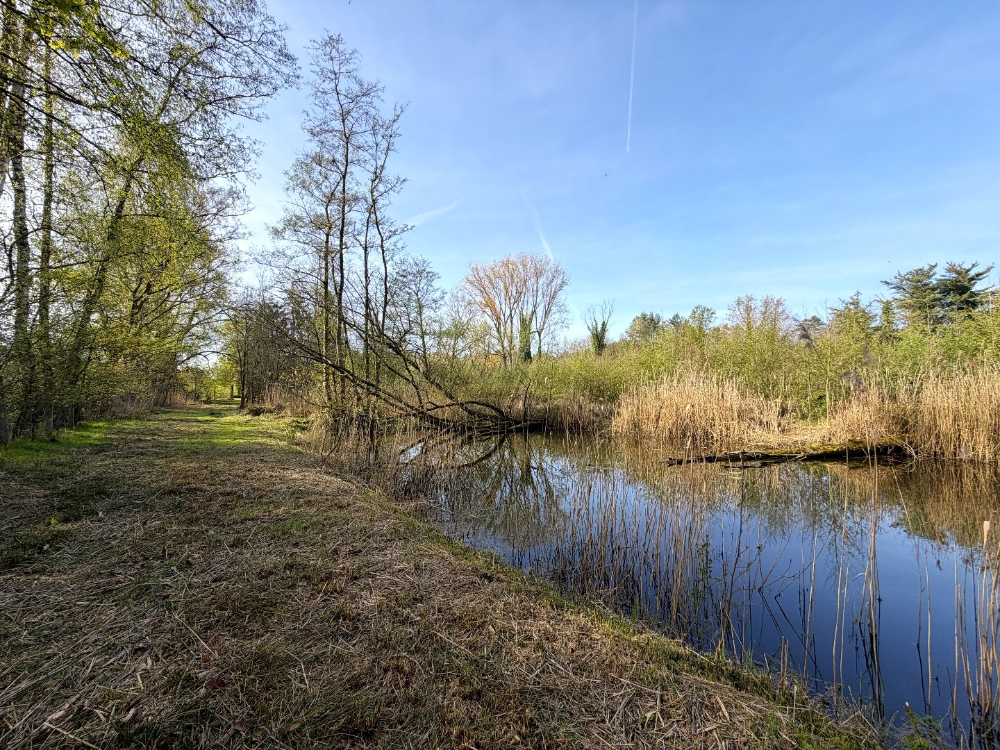 Prachtig perceel met vijvers op unieke ligging in Geel - foto 4