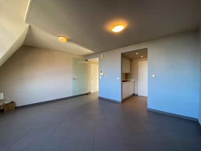 Appartement à louer à Dixmude avec 1 chambre - photo 4