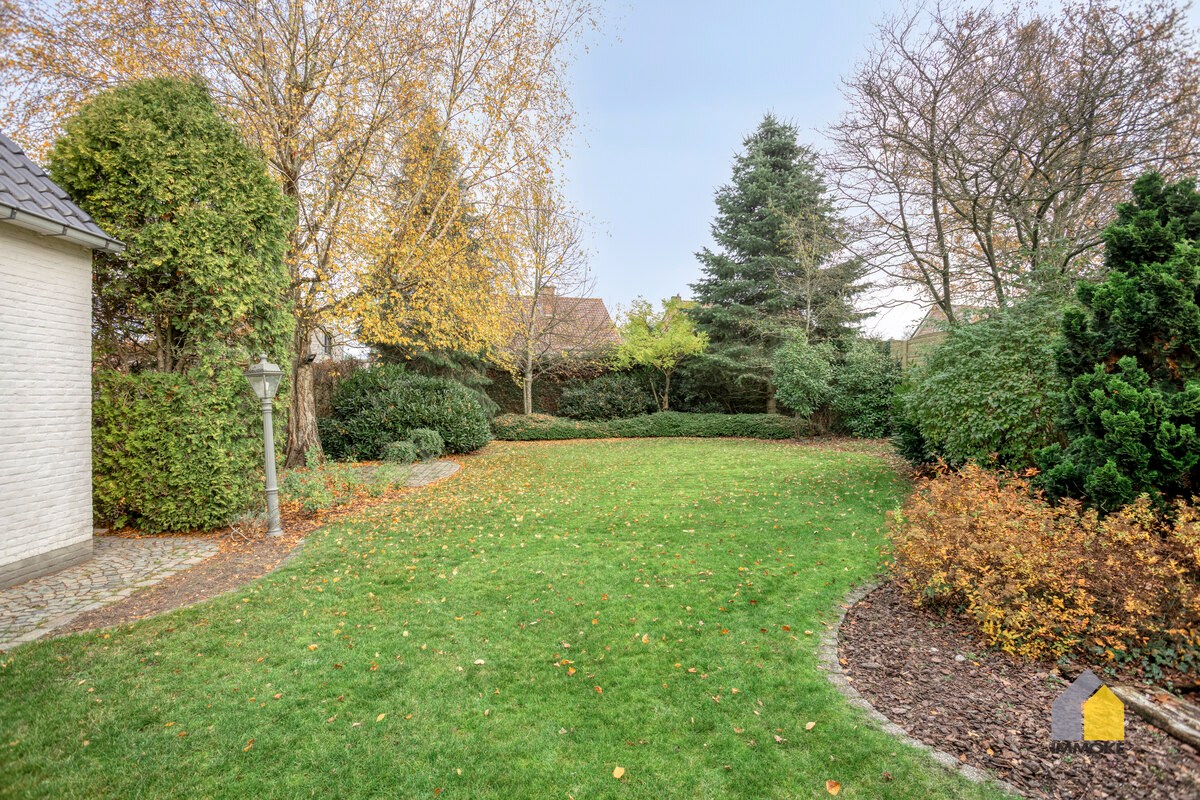 Maison à vendre à Opglabbeek avec 3 chambres - photo 5