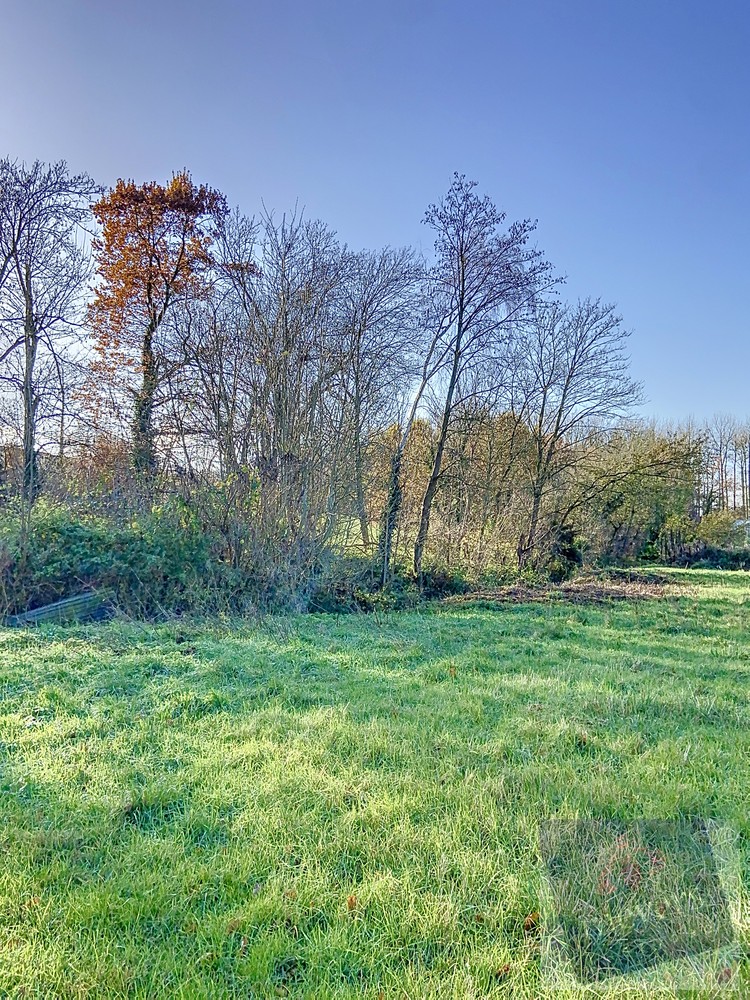 Land for sale in Klein-Gelmen - photo 5