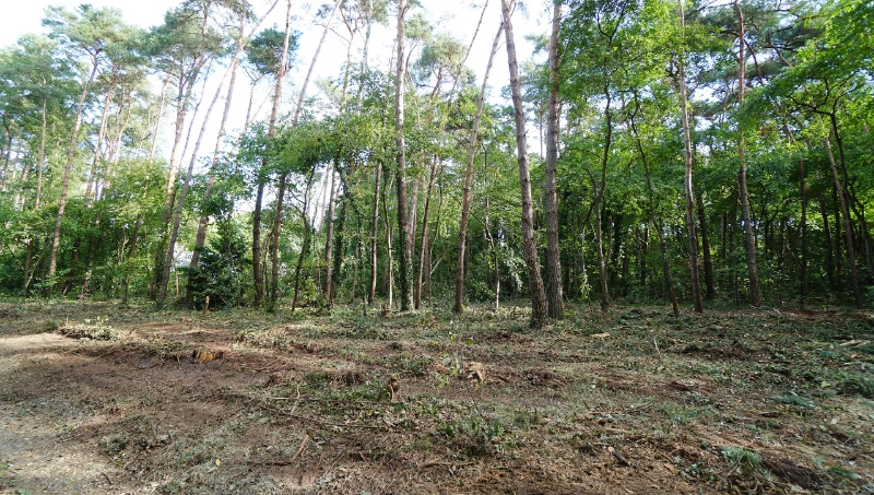 Residentieel gelegen bouwgrond van 31a10ca voor open bebouwing met private toegangsweg nabij golf- en meerdomein - foto 1