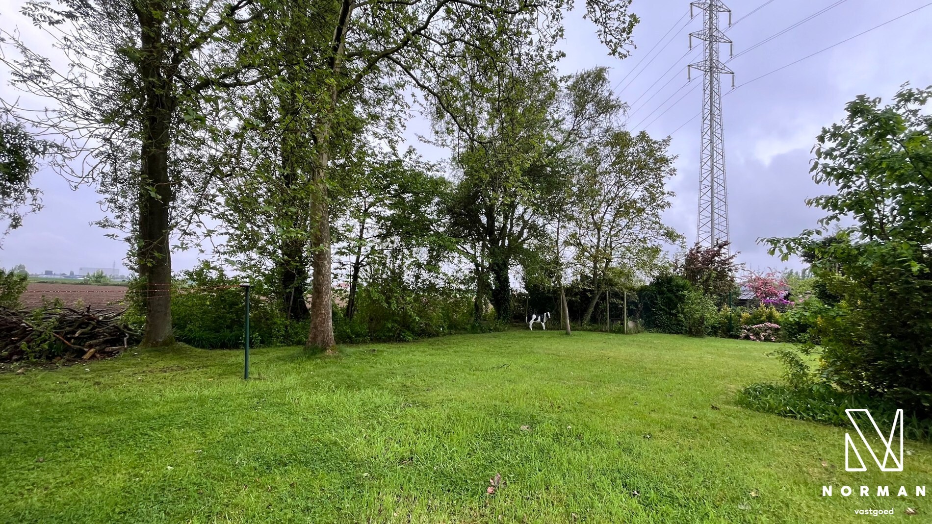 Land for sale in Kortrijk - photo 5