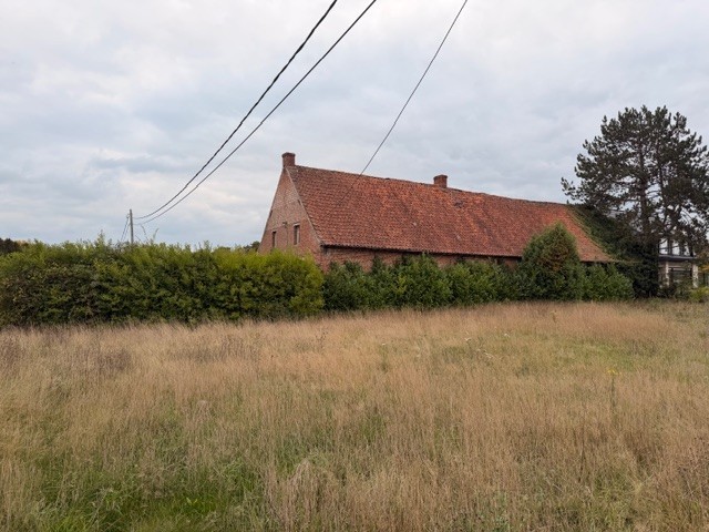 Te renoveren hoeve in Hulshout - foto 4