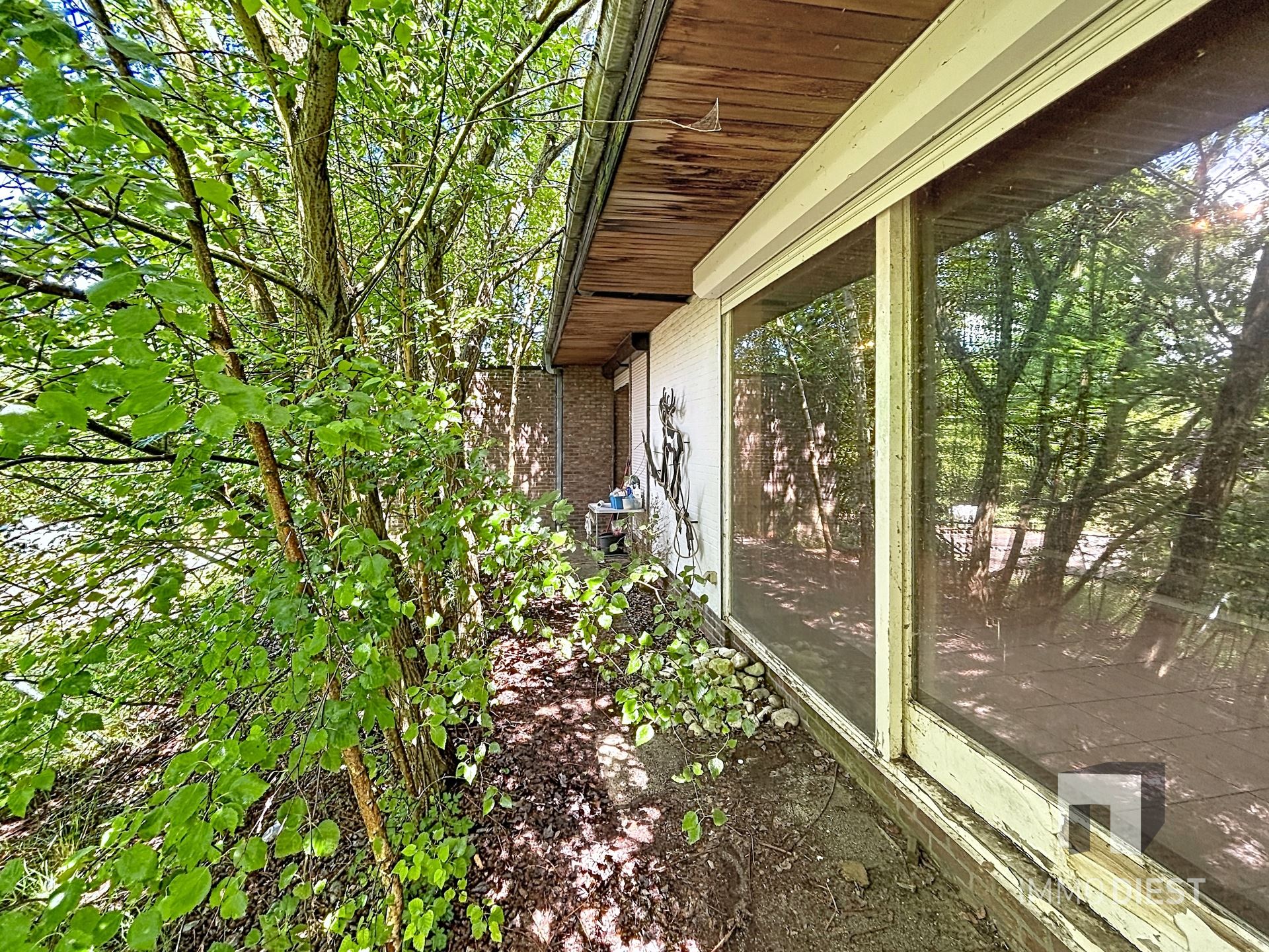 Totaal te renoveren woning op 15a 88ca. - foto 4