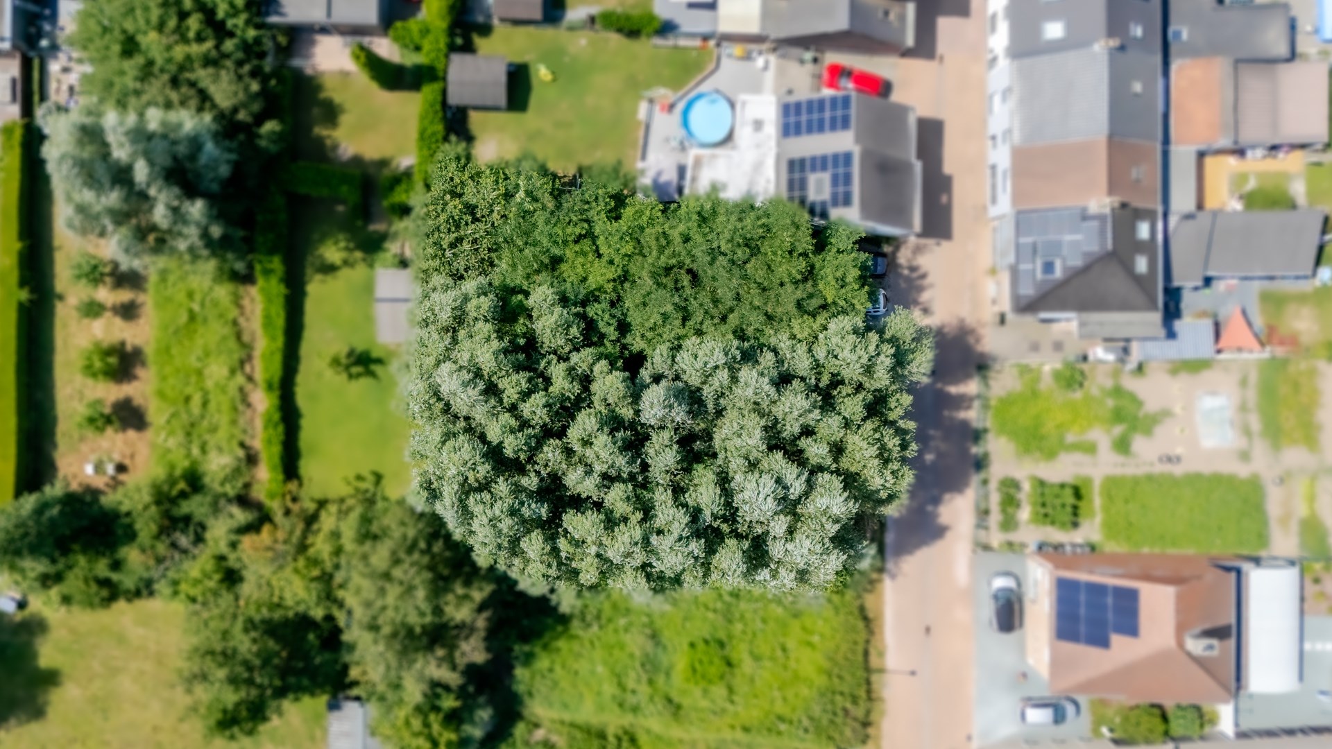 Land for sale in Denderleeuw - photo 2