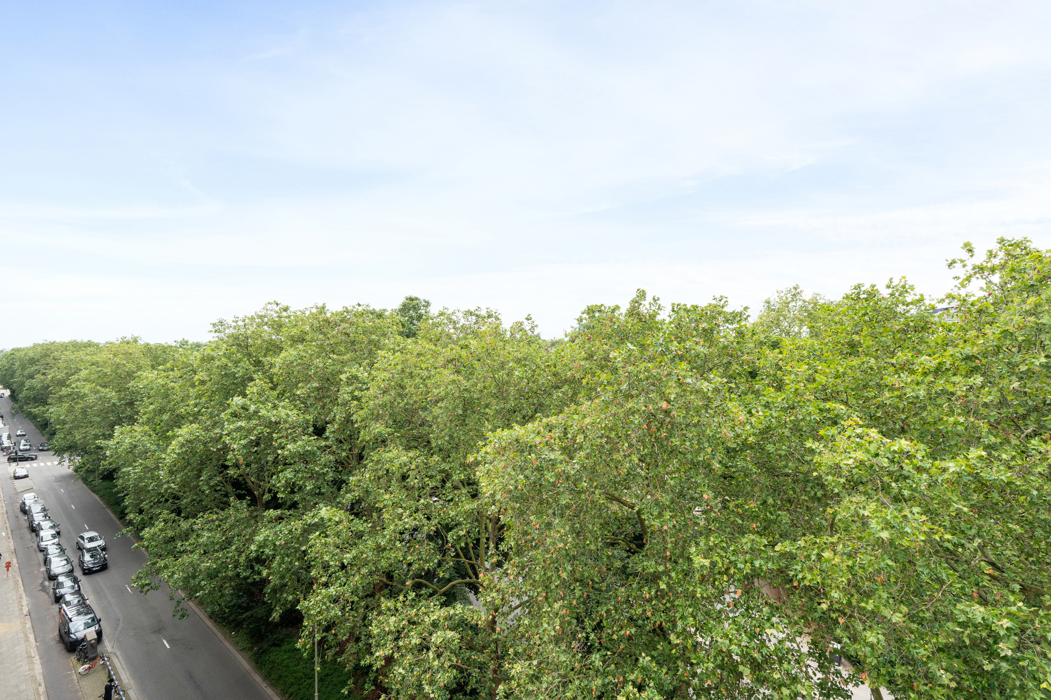 Hoekappartement aan het Stadspark met zicht op groen. - foto 5
