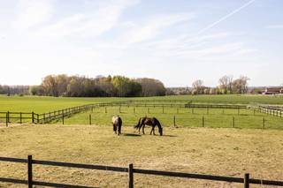 SECRET SALE – Paardenaccommodatie met gerenoveerde woningOp een idyllische, rustige locatie in het rustige en groene Pajottenland vindt u deze...