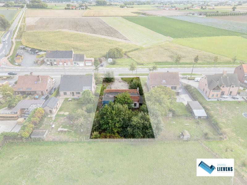 Grond te koop in Koekelare - foto 5