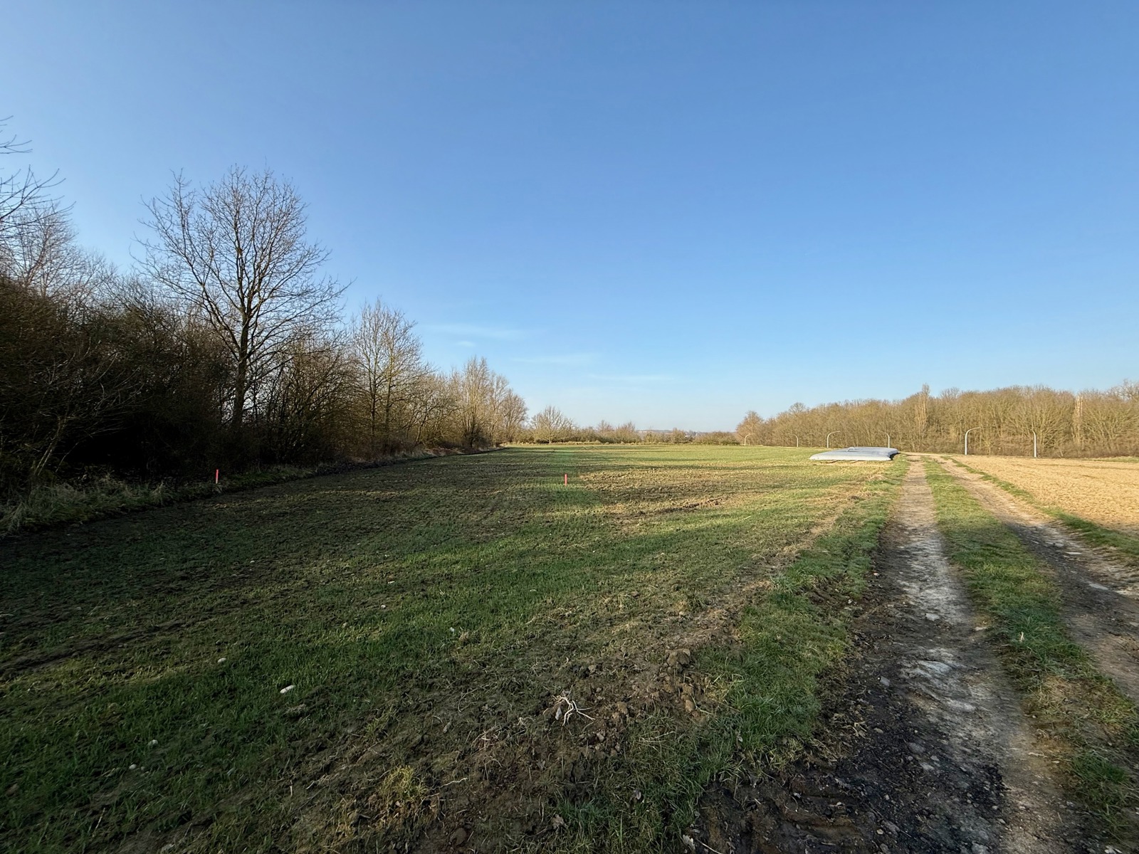 Grond te koop in Hoegaarden - foto 5