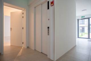 Domein Neerhof is zeer gunstig gelegen in het binnengebied tussen de Neerstraat en Steenweg op Mol. Gesitueerd in een rustige en...